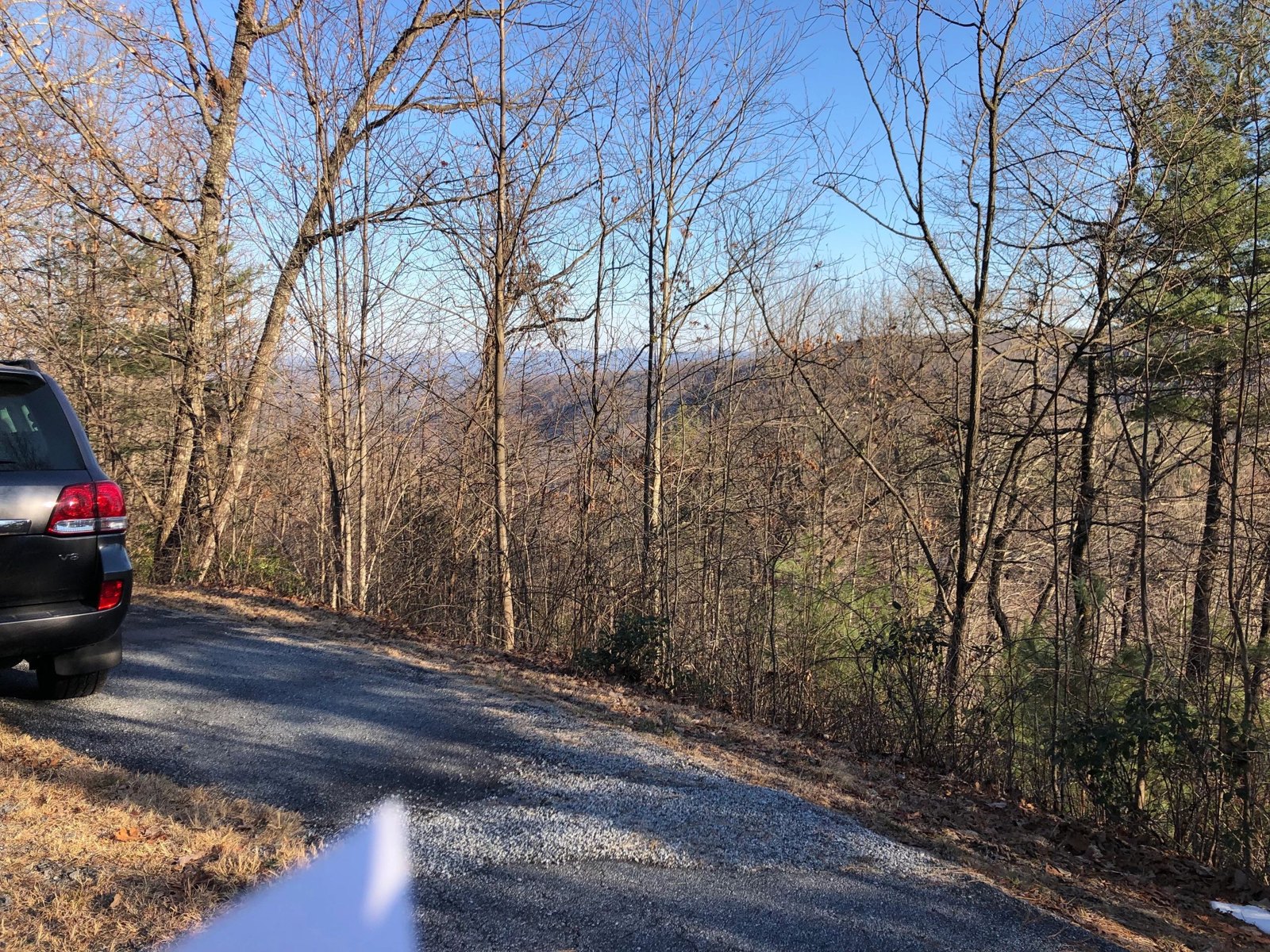 Roadside setting from the Elk Horn 81 listing