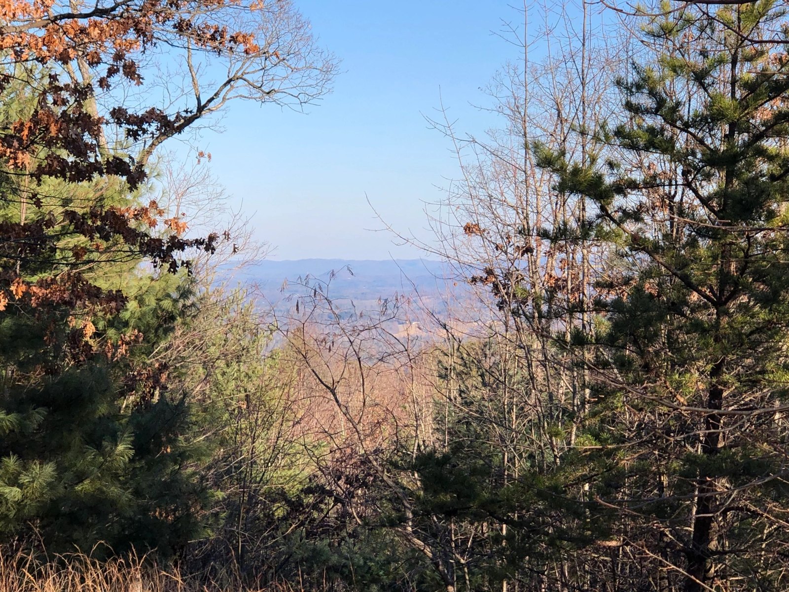 Elk Horn 81 listing image