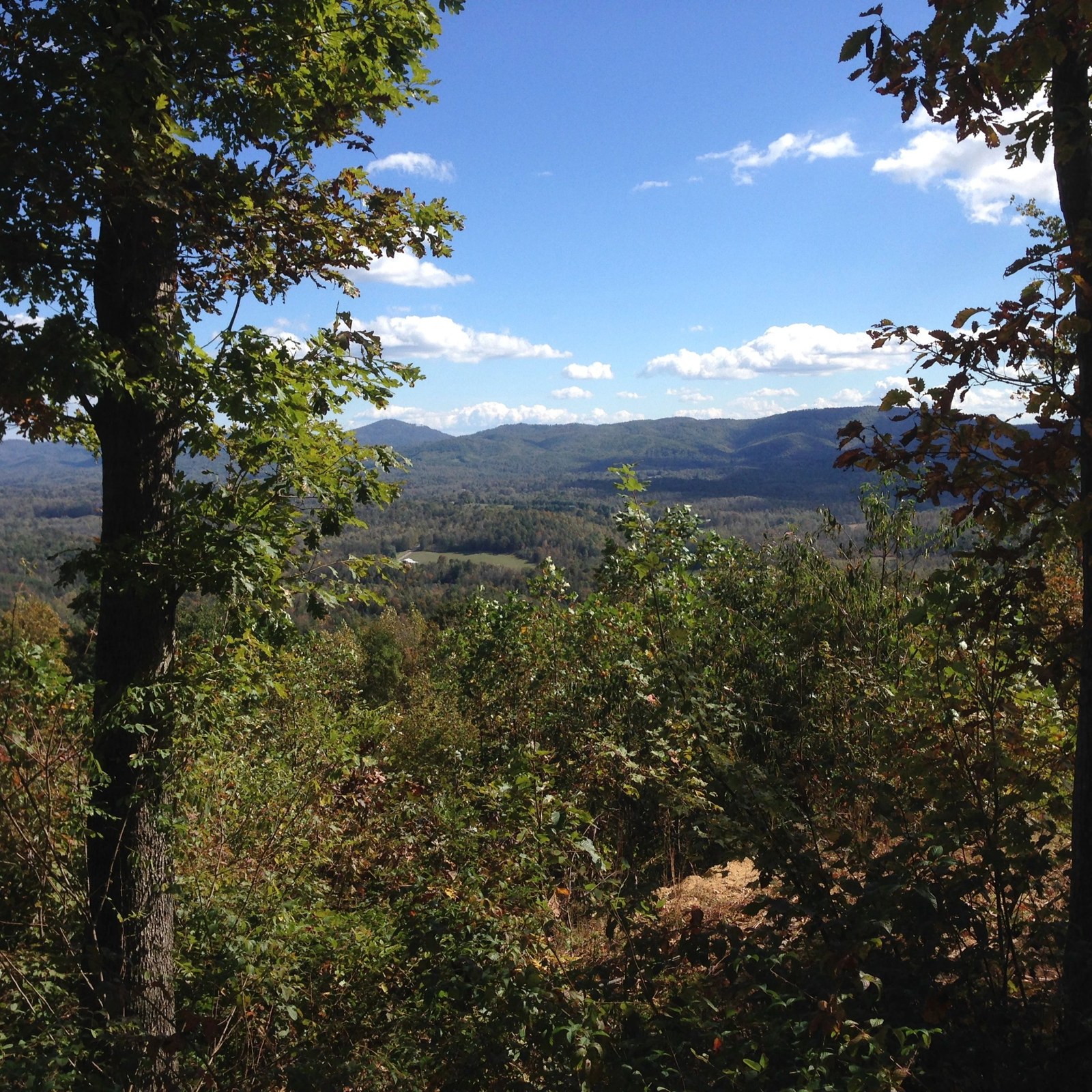 Mountain views through the trees