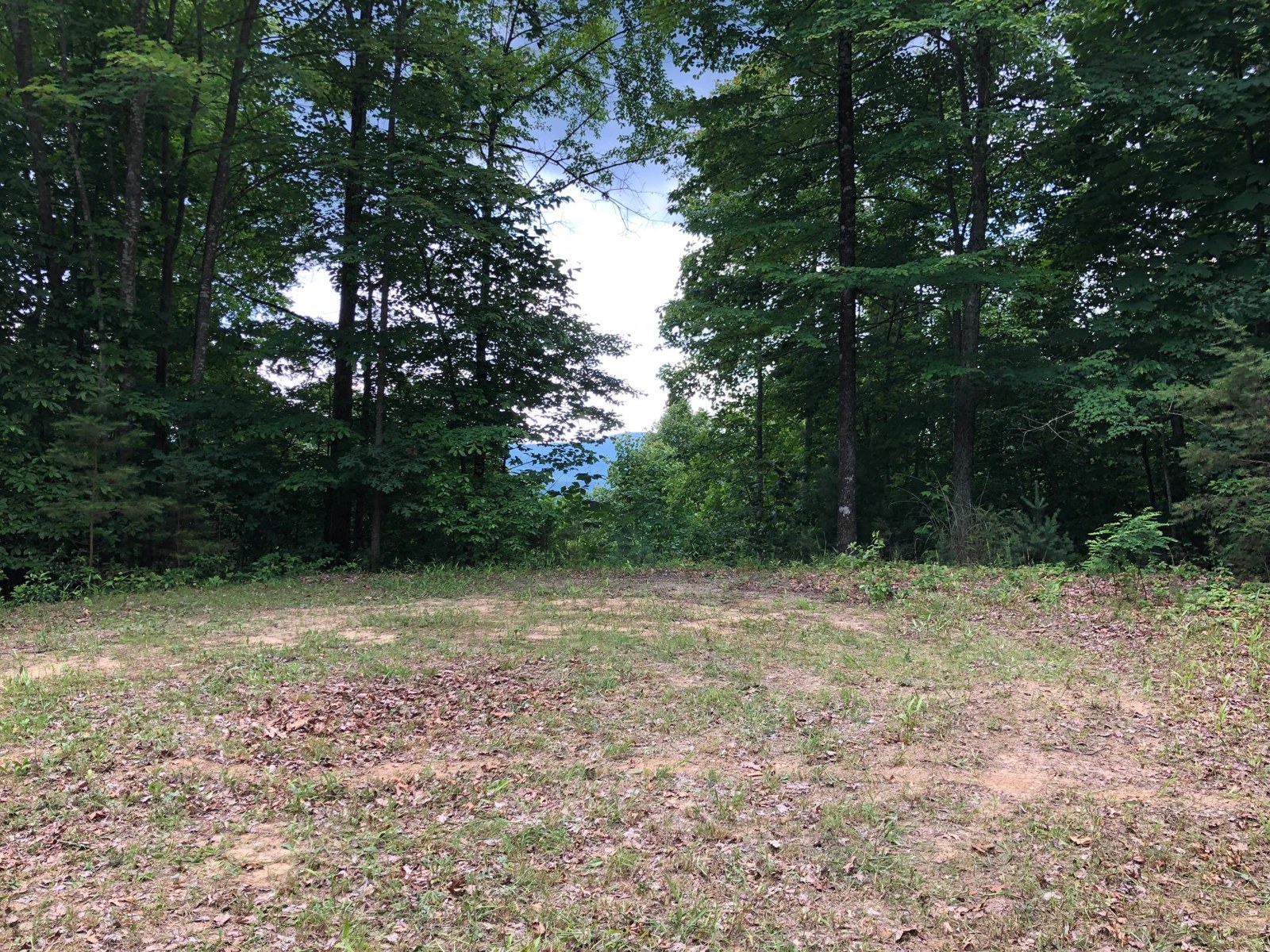 Additional landscape from the existing listing gallery