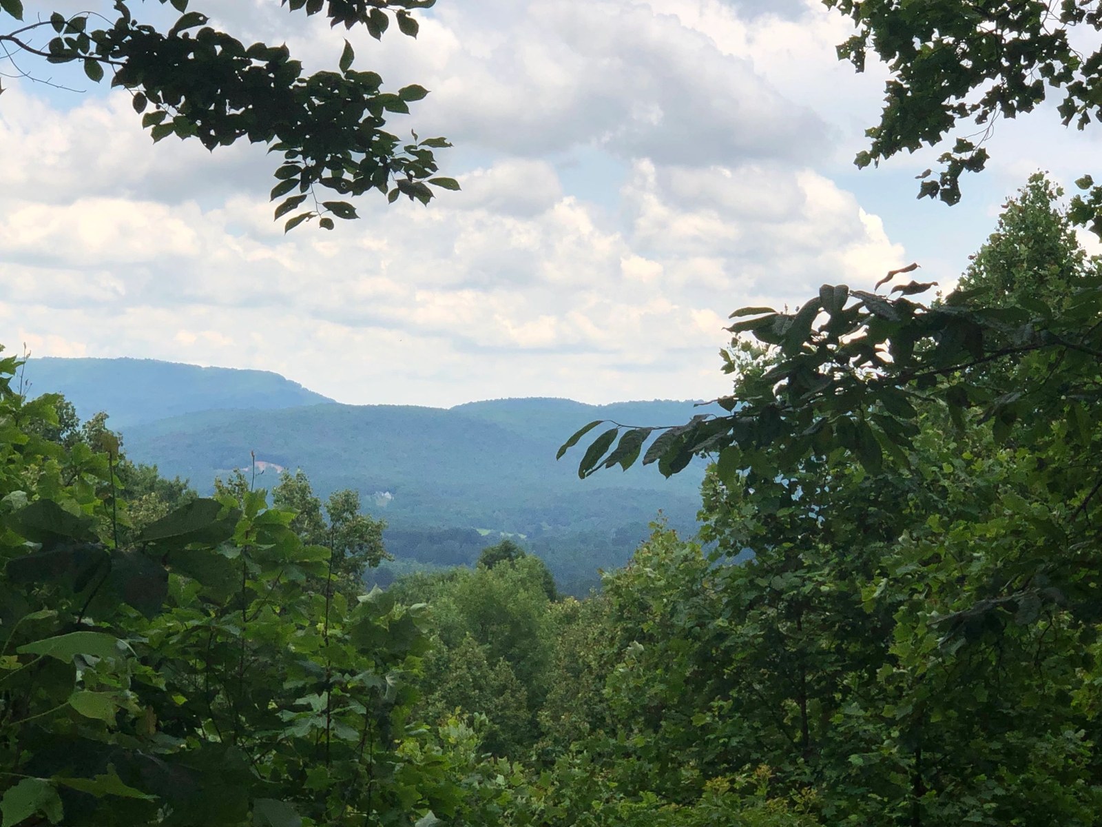 Additional mountain view from the existing listing gallery