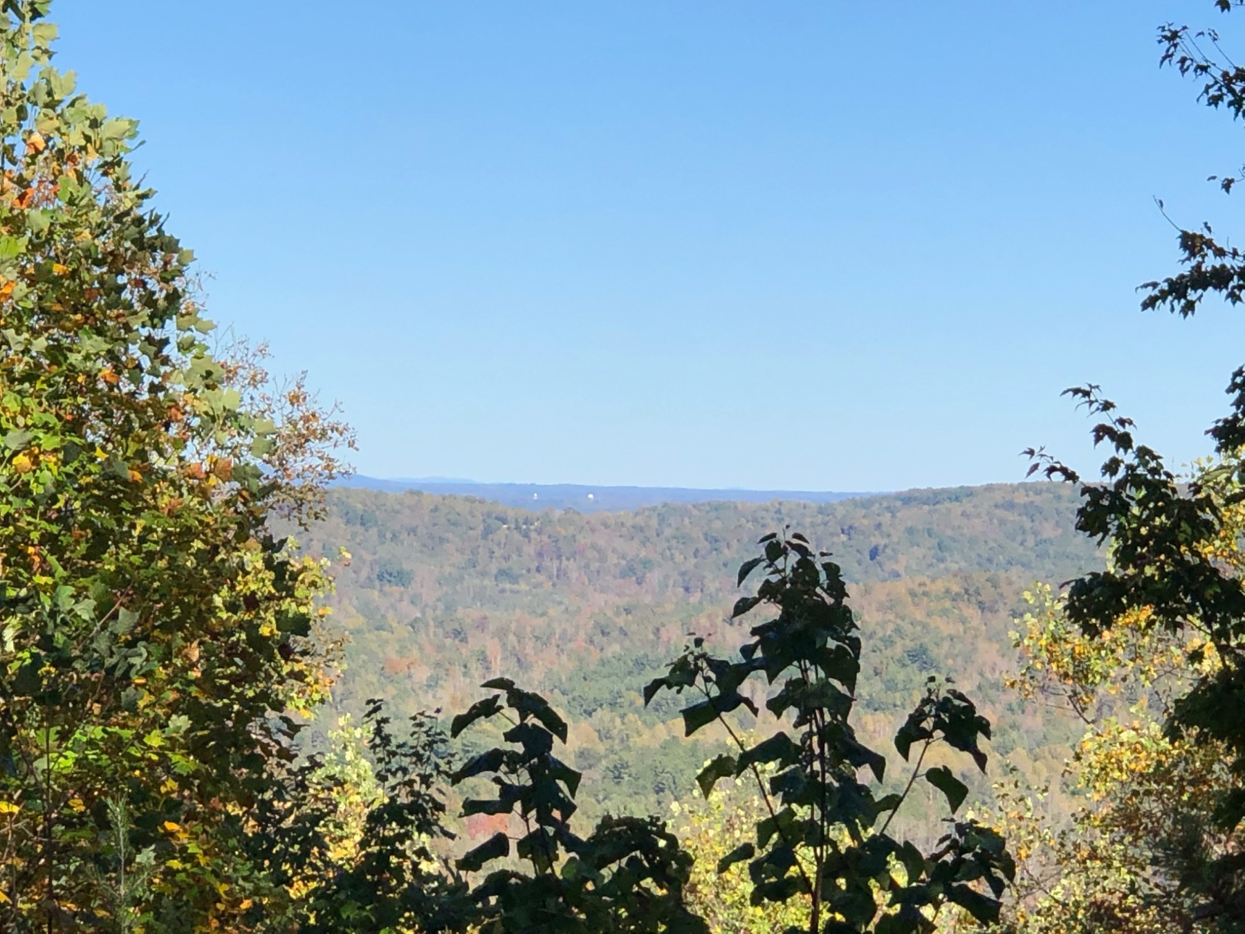 Wooded foreground and mountain ridgeline