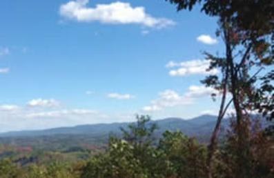 Long-range view framed by trees