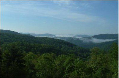 Misty mountains and wooded surroundings